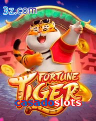 casadoslots slot fortune tiger