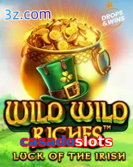 casadoslots slot wild wild riches